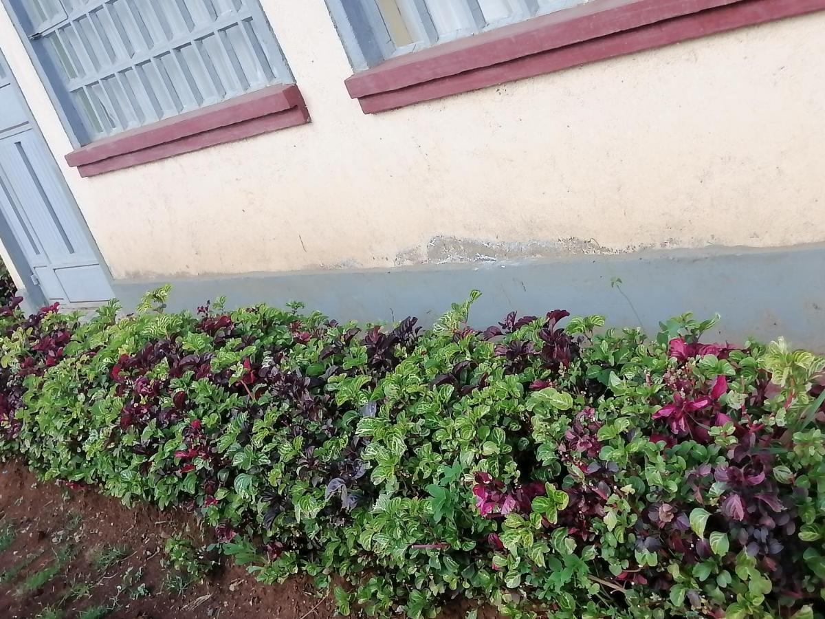 The Rhine Guest House - إلدوريت المظهر الخارجي الصورة